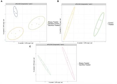 Investigating the impact of feed-induced, subacute ruminal acidosis on rumen epimural transcriptome and metatranscriptome in young calves at 8- and 17-week of age